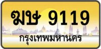 ฆษ 9119