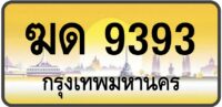ฆด 9393