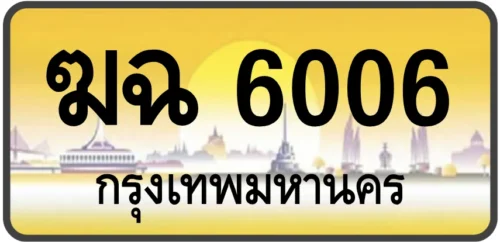 ฆฉ 6006