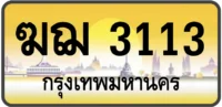 ฆฌ 3113