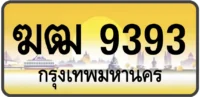 ฆฒ 9393