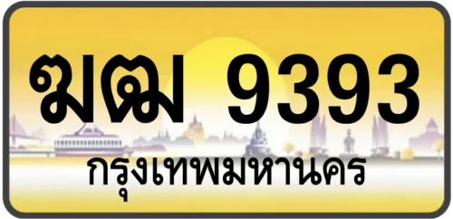 ฆฒ 9393
